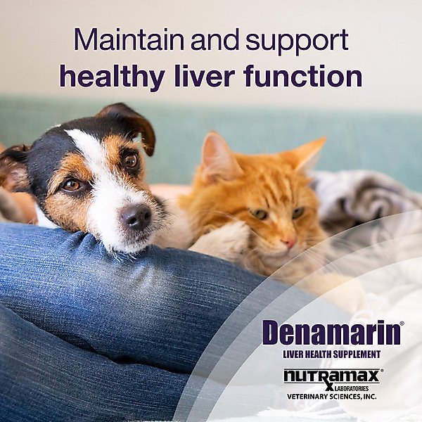 Show full view: Nutramax Denamarin for Liver Health Tablets for Small Dogs & Cats, 30 count slide 5 of 10
