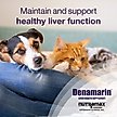 Show in main carousel: Nutramax Denamarin for Liver Health Tablets for Small Dogs & Cats, 30 count slide 5 of 10