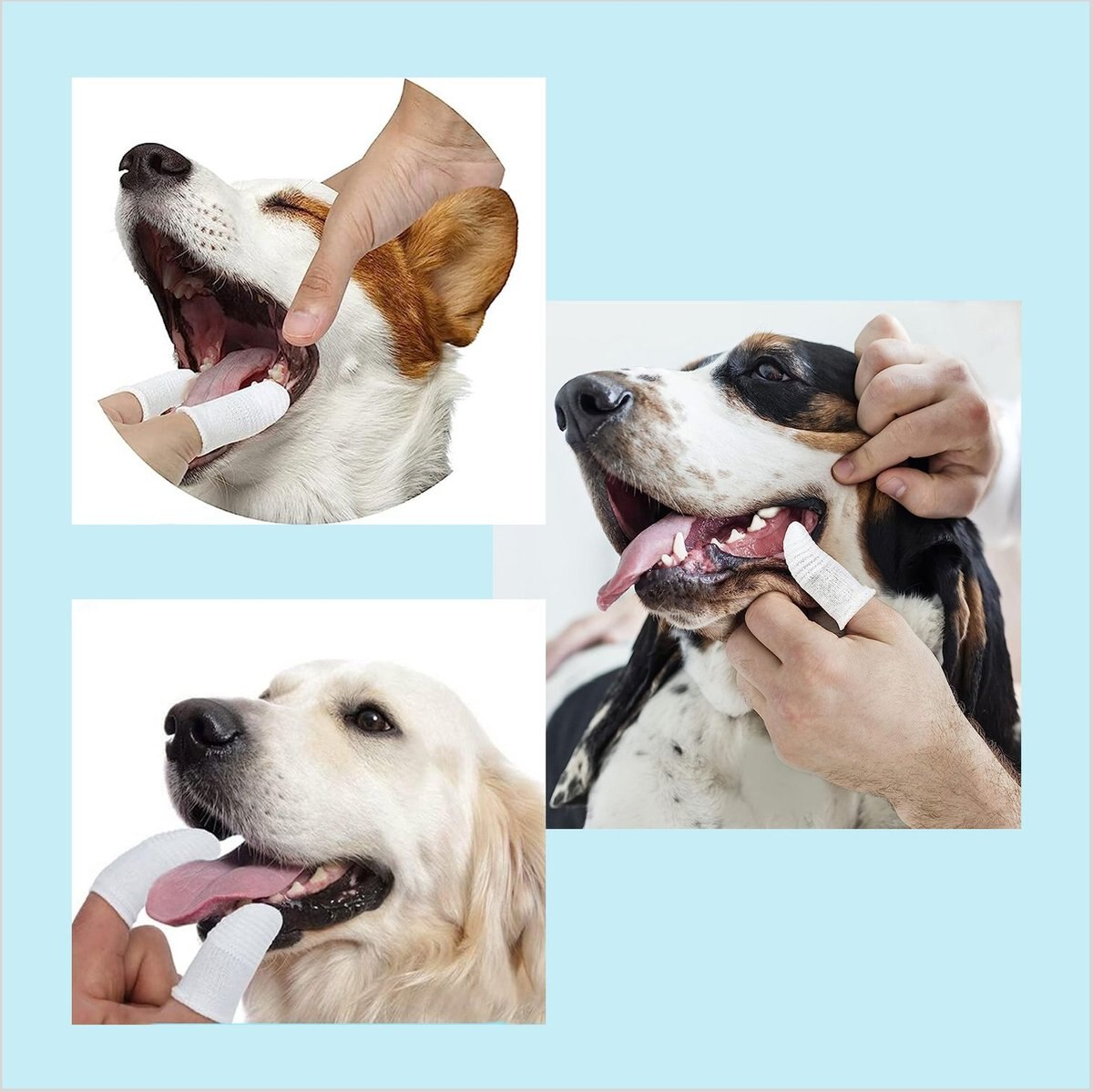 PET REPUBLIQUE Soft Fabric Finger Toothbrush for Dogs, Cats, & Small