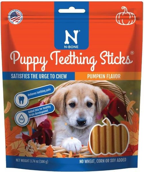 Discontinued NBONE Pumpkin Flavor Harvest Puppy Teething Sticks Chew