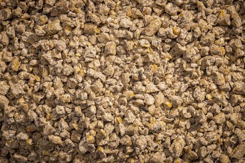 Show full view: Modesto Milling Organic 22% Protein Chick Starter Crumbles Chicken Feed, 40-lb bag slide 3 of 5