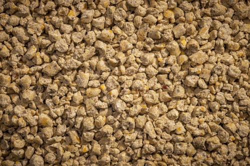 Show full view: Modesto Milling Organic 28% Protein Turkey / Gamebird Starter Crumbles Poultry Feed, 40-lb bag slide 3 of 6