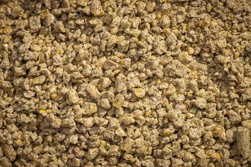 Show full view: Modesto Milling Organic 17% Protein Layer Crumbles Chicken Feed, 40-lb bag slide 3 of 5