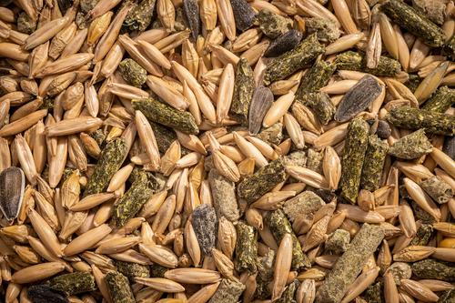 Show full view: Modesto Milling Organic Horse PLUS Textured Horse Feed, 40-lb bag slide 3 of 6