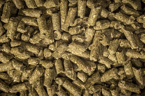 Show full view: Modesto Milling Organic Senior Horse Pellet Horse Feed, 40-lb bag slide 3 of 5