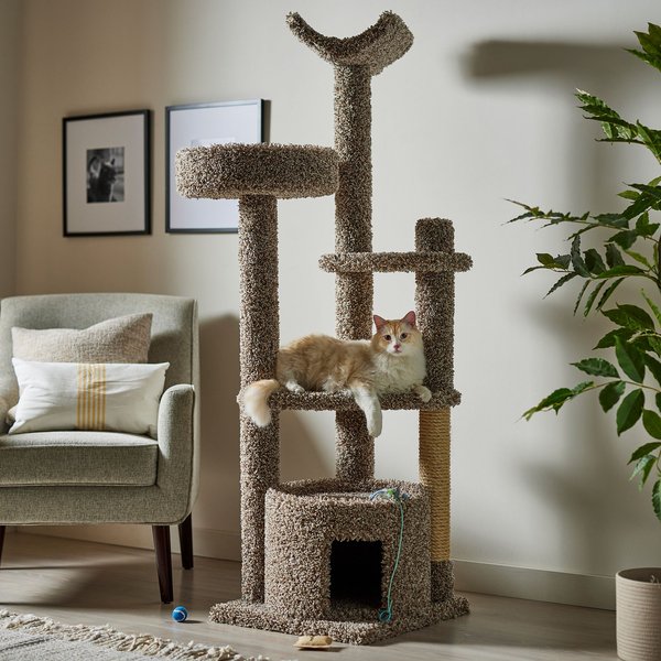 FRISCO 64 in Real Carpet Solid Wood Cat Tree Condo Brown Speckled Chewy