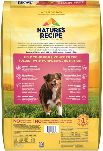 Nature s Recipe Brandclub Nature s Recipe Grain Free Salmon Sweet Potato Pumpkin Recipe Dry Dog Food 34 lb bag