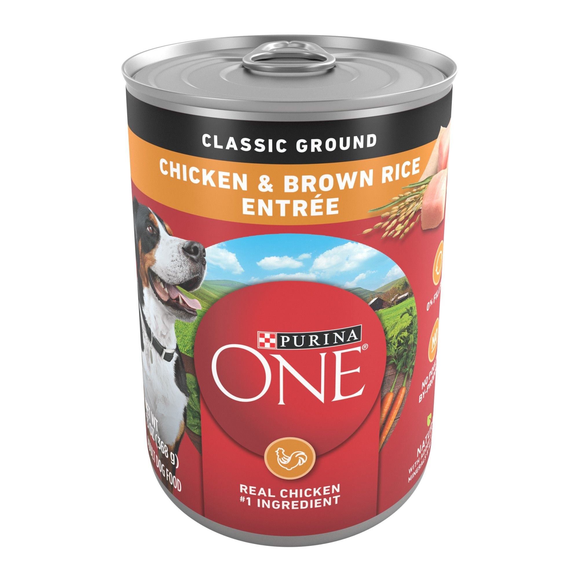 SmartBlend Classic Ground Chicken & Brown Rice Entree Adult Canned Dog Food