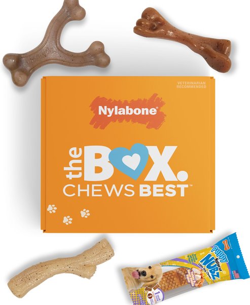 Chewy puppy clearance box