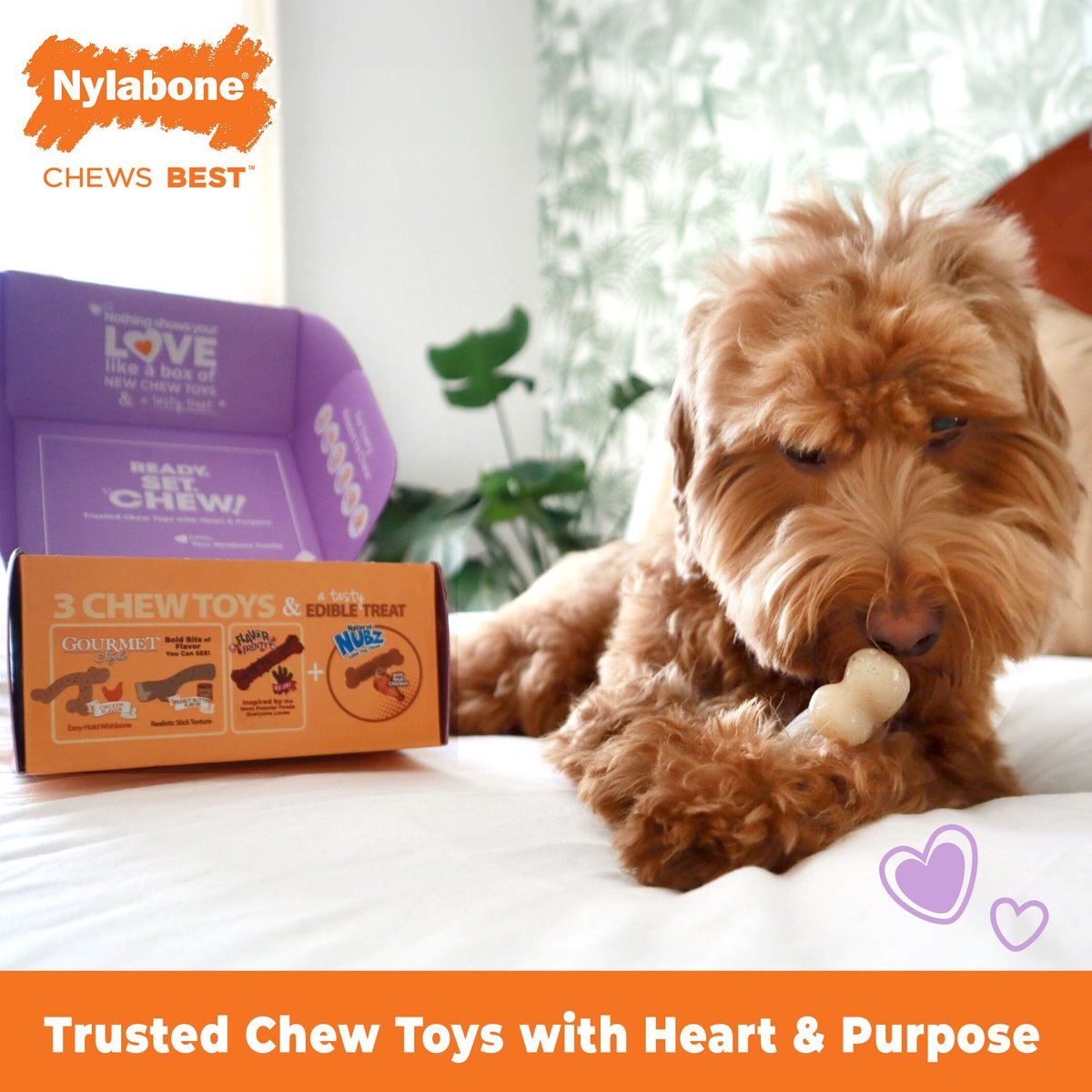 Nylabone The Box Chew Toy & Treat Gift Box for Small Dogs, Small, Red