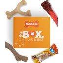 Nylabone The Box Chew Toy & Treat Gift Box for Large Dogs