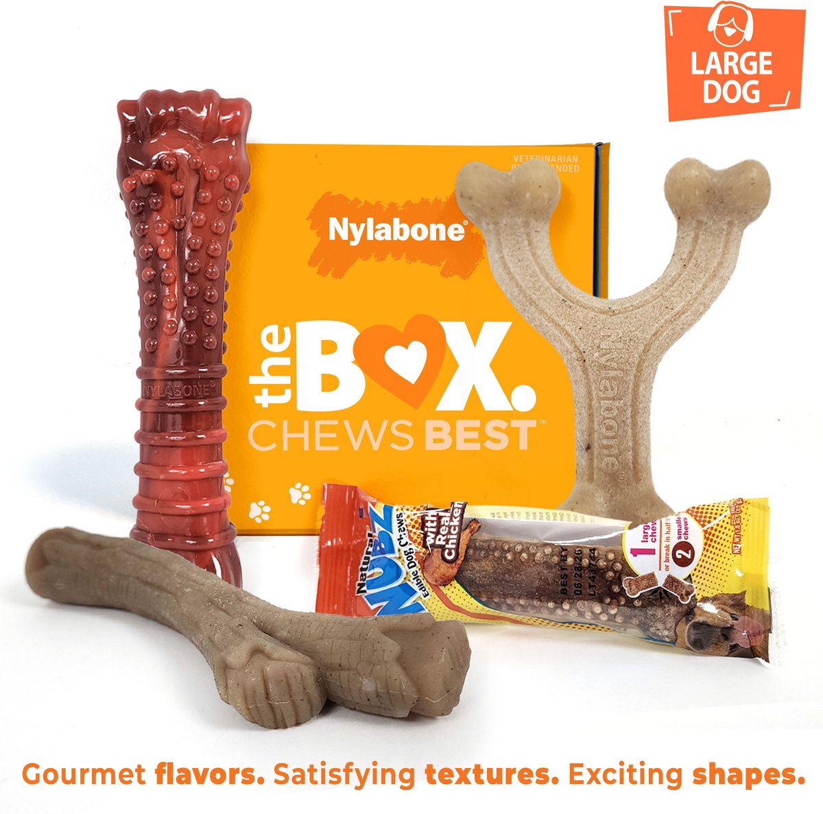 NYLABONE The Box Chew Toy & Treat Gift Box for Large Dogs