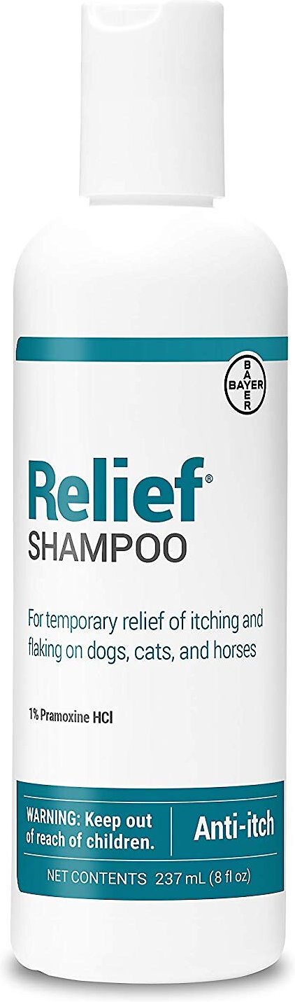Relief Shampoo with Pramoxine & Colloidal Oatmeal for Dogs & Cats