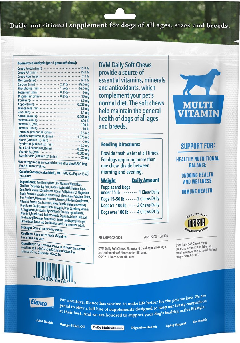 DVM Daily Soft Chews Multi Vitamin for Dogs, 120 count bag - Chewy.com