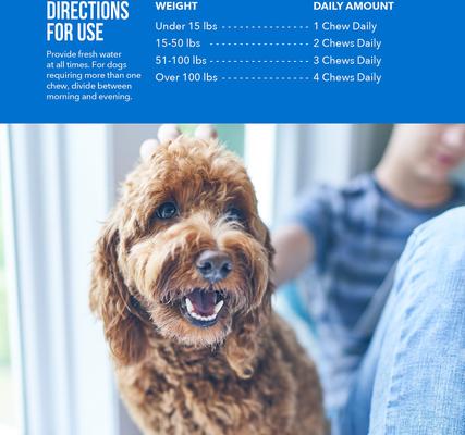 Show full view: DVM Daily Soft Chews Multi Vitamin for Dogs, 120 count bag slide 8 of 11