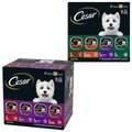 Cesar Classic Loaf in Sauce Beef Recipe, Filet Mignon, Grilled Chicken, & Porterhouse Steak Flavors Variety Pack + Poultry Variety Pack Small Breed Wet Dog Food