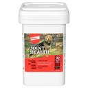 Synovi G3 Soft Chews Joint Supplement for Dogs, 240 count