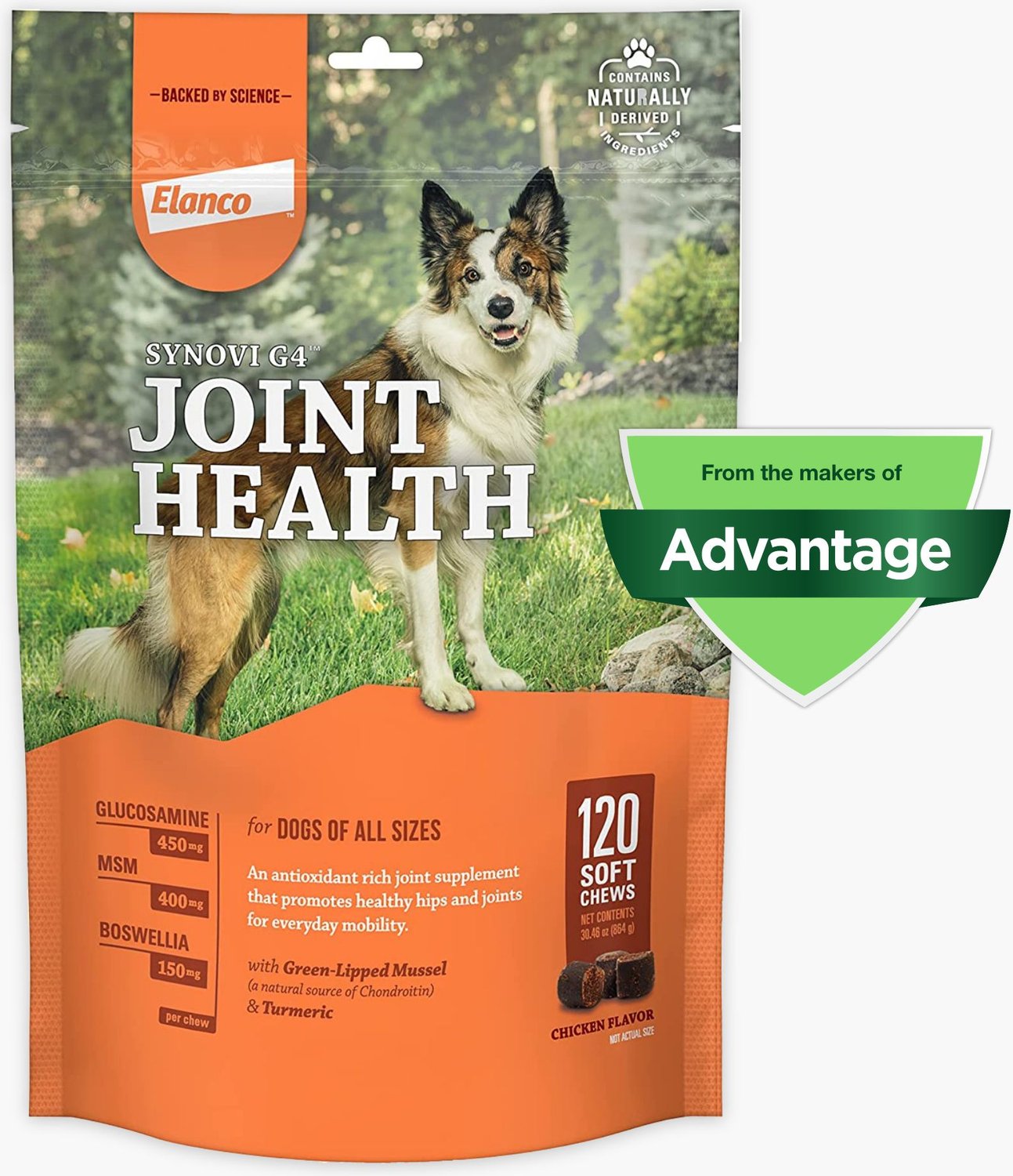 Zesty Paws Dental Bones for Small Dogs Review (2023) - KCS