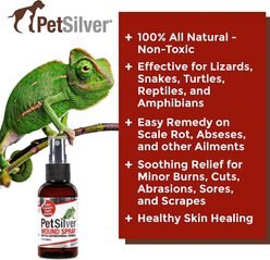 PetSilver Wound Spray for Reptiles, 2-oz bottle slide 2 of 6
