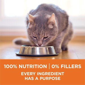 Purina ONE +Plus Ideal Weight Natural High Protein Adult Dry Cat Food, 16-lb bag