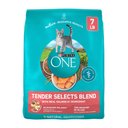 Purina ONE Tender Selects Blend with Real Salmon Dry Cat Food, 7-lb bag