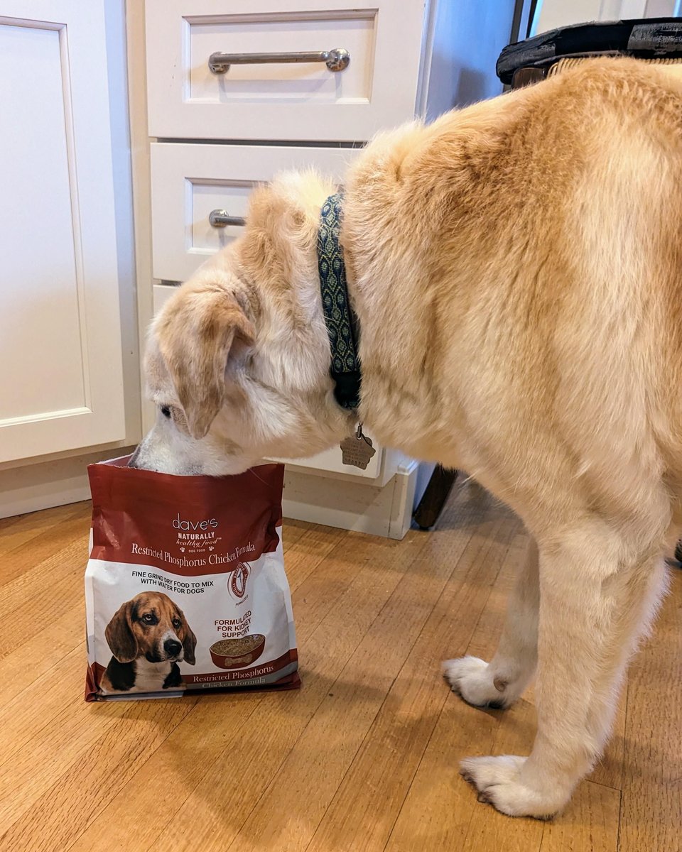 Dave's restricted outlet diet dog food