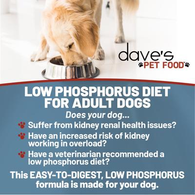 Show full view: Dave's Pet Food Restricted Phosphorus Chicken Formula Kidney Support Crumble Dog Food, 10-lb bag slide 6 of 12