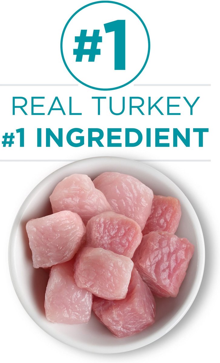 PURINA ONE Turkey Recipe Pate GrainFree Natural High Protein Canned