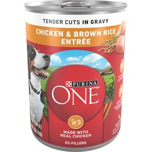 Purina ONE SmartBlend Tender Cuts in Gravy Chicken & Brown Rice Entree Adult Canned Dog Food, 13-oz, case of 12
