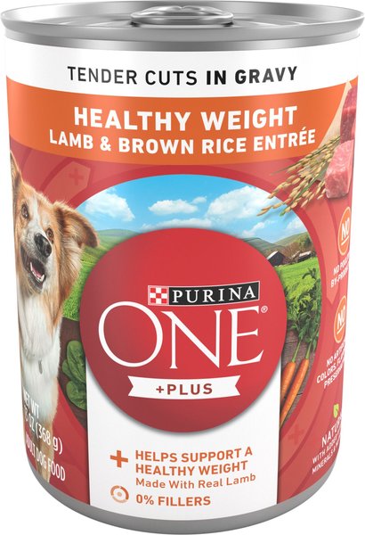 Purina ONE SmartBlend Tender Cuts in Gravy Lamb & Brown Rice Entree Adult Canned Dog Food, 13-oz, case of 12 slide 1 of 10