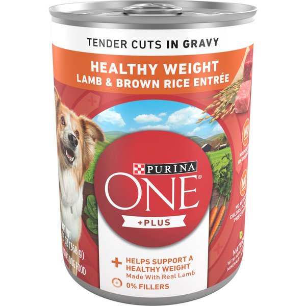 Eukanuba Adult Entree with Beef & Rice Canned Dog Food