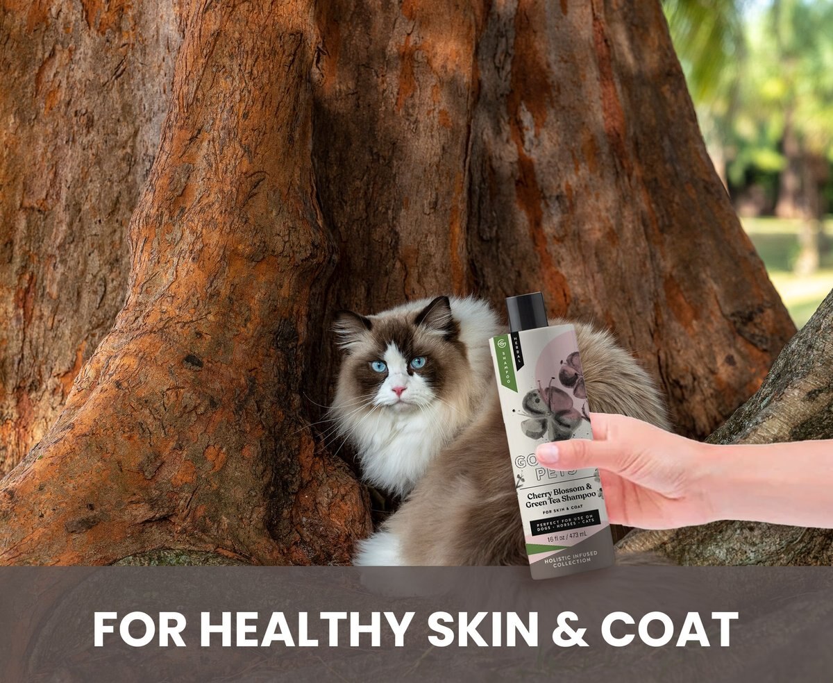 GOU GOU PETS Holistic Natural Derived Cherry Blossom & Green Tea Dog