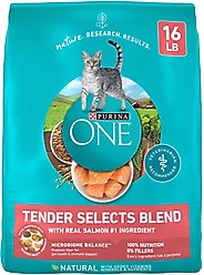 Purina ONE Tender Selects Blend with Real Salmon Dry Cat Food, 16-lb bag