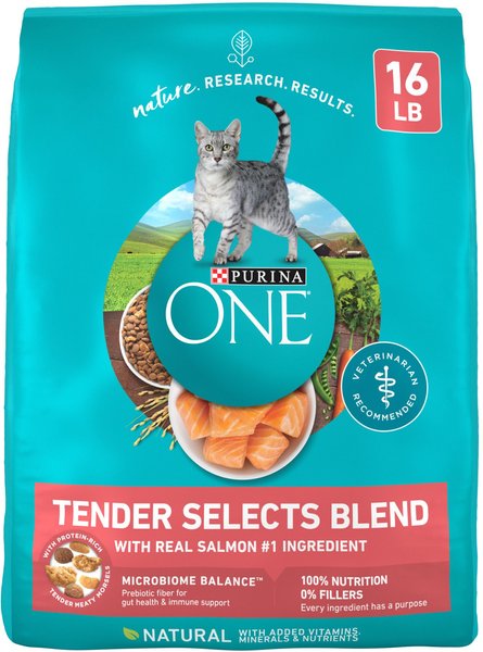 Purina ONE Tender Selects Blend with Real Salmon Dry Cat Food, 16-lb bag slide 1 of 12