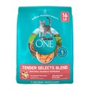 Purina ONE Tender Selects Blend with Real Salmon Dry Cat Food, 16-lb bag