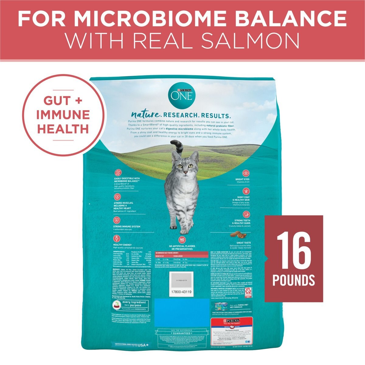 Purina one cat food 16 lb cheap