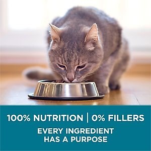 Purina ONE Tender Selects Blend with Real Salmon Dry Cat Food, 16-lb bag