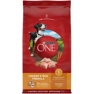 Purina ONE SmartBlend Chicken & Rice Adult Formula Dry Dog Food