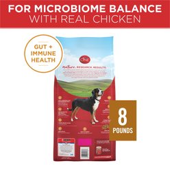 Purina ONE Natural SmartBlend Chicken & Rice Formula Dry Dog Food, 8-lb bag slide 2 of 9