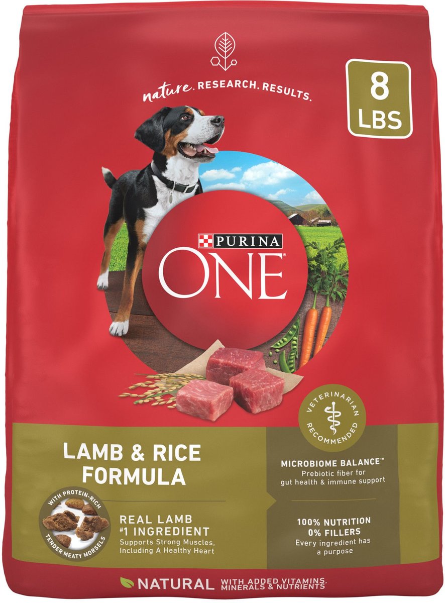 PURINA ONE Natural SmartBlend Lamb & Rice Formula Dry Dog Food, 8lb