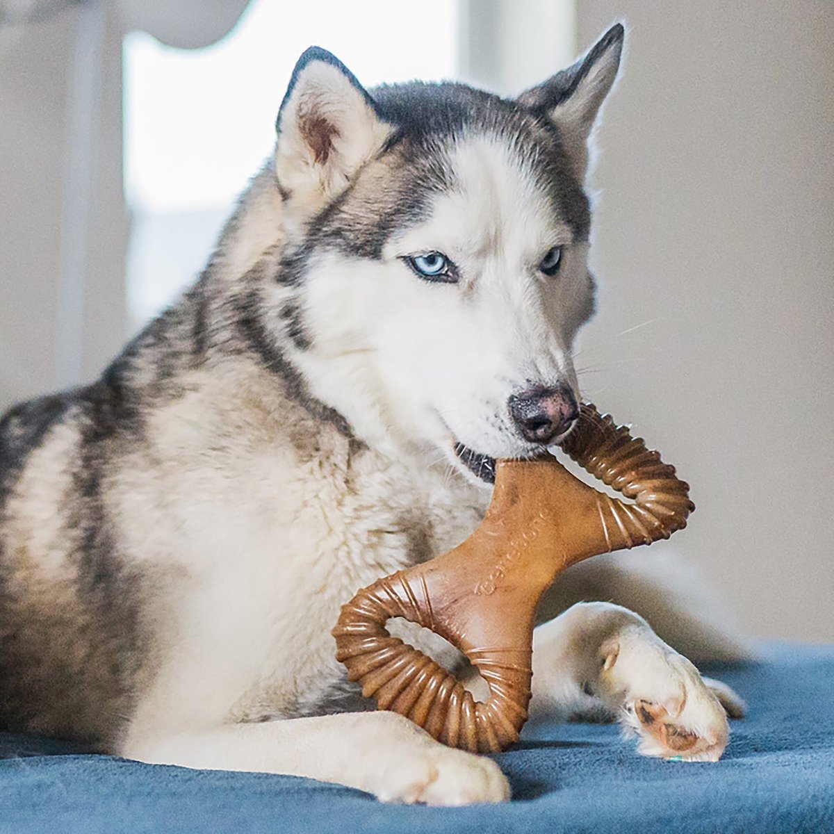 Benebone chewy outlet