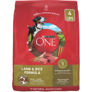 Purina ONE Lamb & Rice Formula Dry Dog Food, 4-lb bag