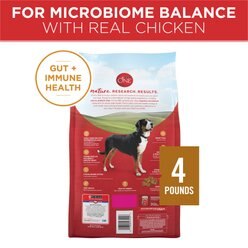 Purina ONE Chicken & Rice Formula Dry Dog Food, 4-lb bag slide 2 of 9