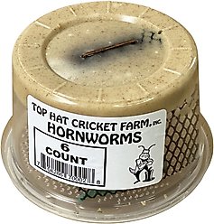 Top Hat Crickets Hornworms Reptile Food, 6 count