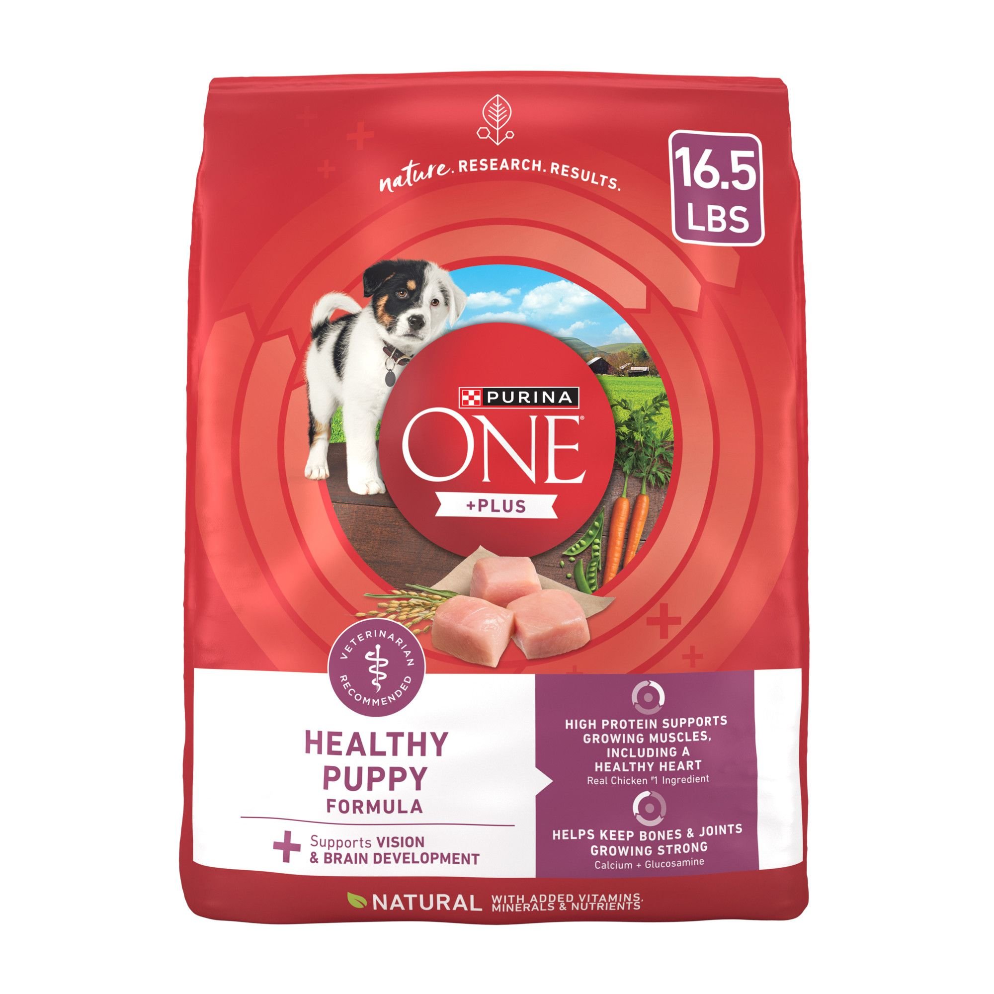 purina-one-plus-natural-high-protein-healthy-puppy-formula-dry-puppy