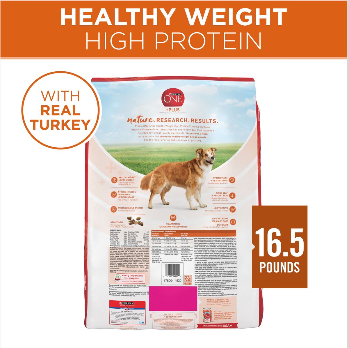 Chewy purina hotsell one dog food