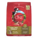 Purina ONE Natural SmartBlend Lamb & Rice Formula Dry Dog Food, 16.5-lb bag