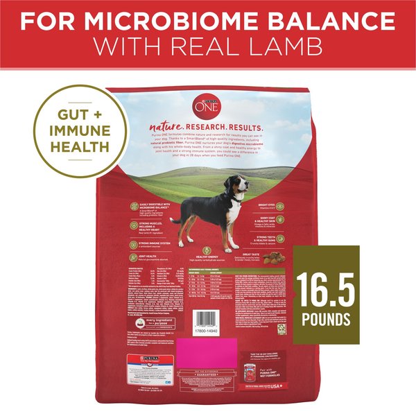 Purina one smartblend chicken & rice formula dry dog food best sale