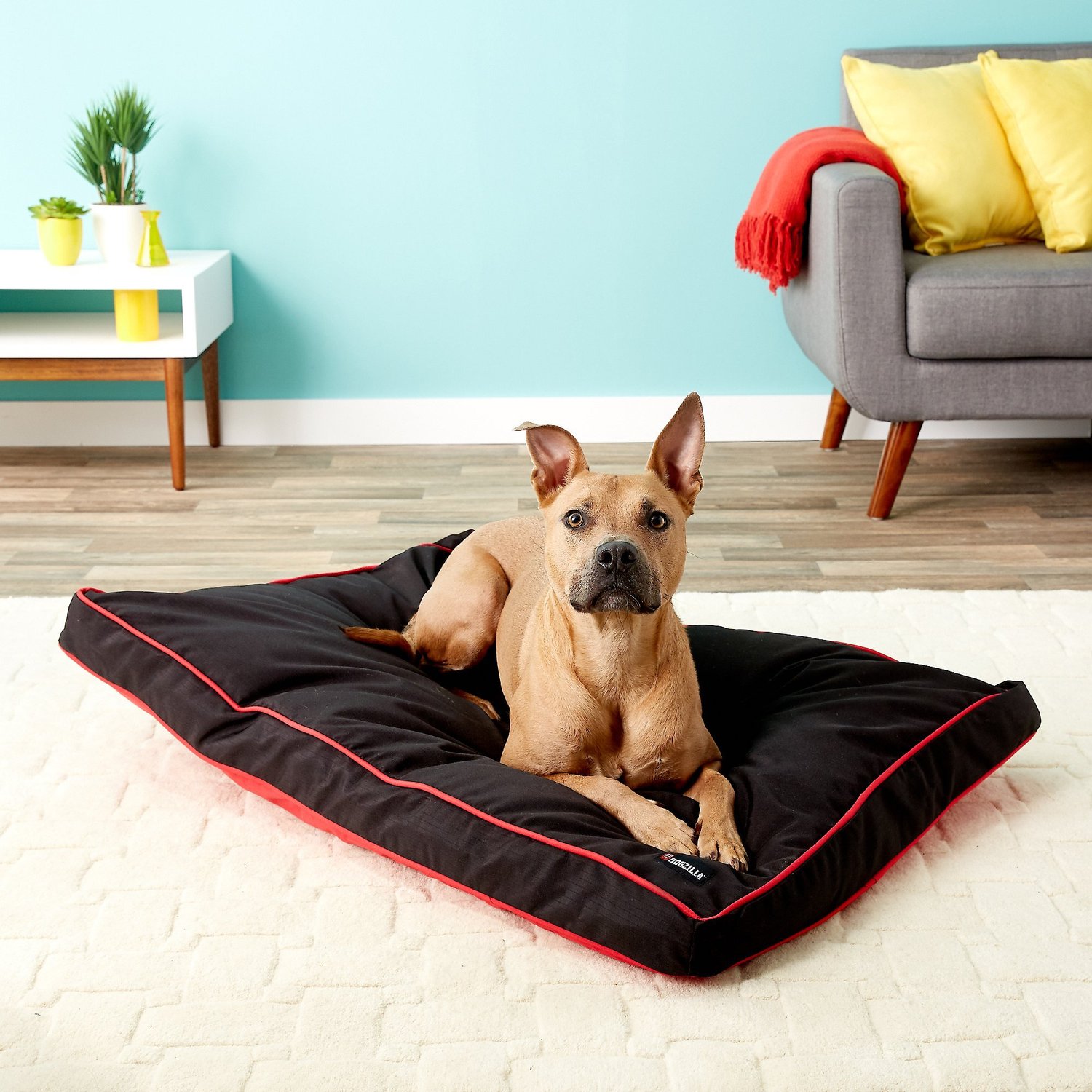 DOGZILLA Gusseted Pillow Dog Bed w/Removable Cover, Red/Black - Chewy.com