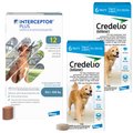 Credelio Chewable Tablet, 50.1-100 lbs, (Blue Box), 12 Chewable Tablets (12-mos. supply) + Interceptor Plus Chew for Dogs, 50.1-100 lbs, (Blue Box), 12 Chews (12-mos. supply)